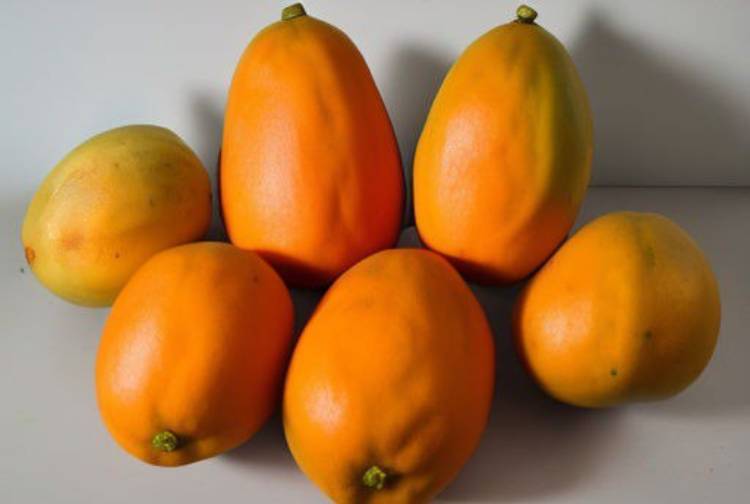El poder de la papaya: Descubre los beneficios para la salud de esta superfruta tropical